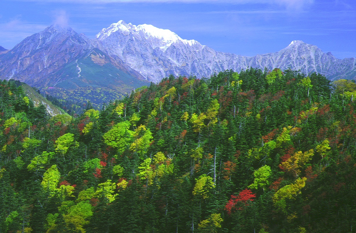 奥穂高岳-初冠雪