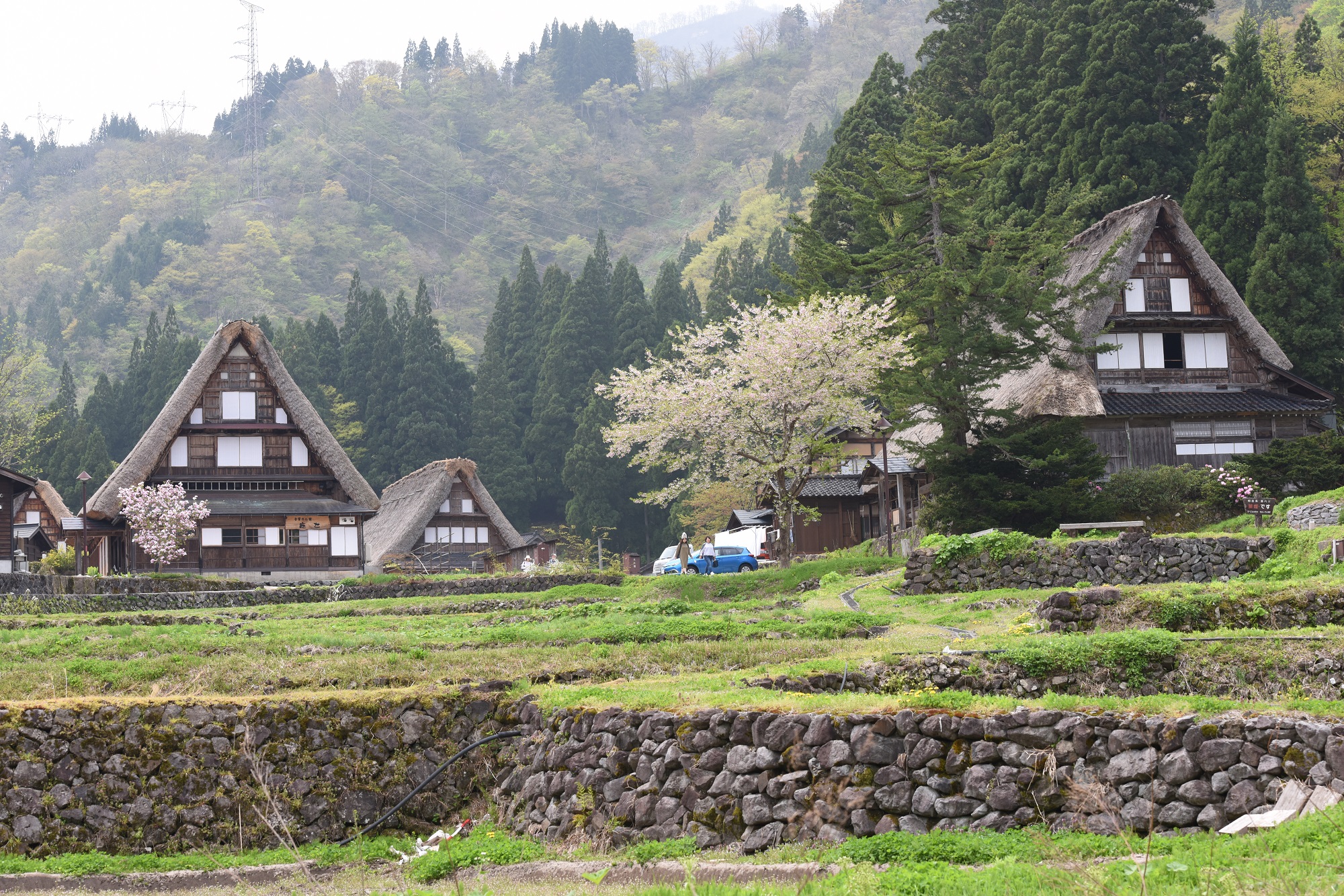 五箇山 相倉合掌集落