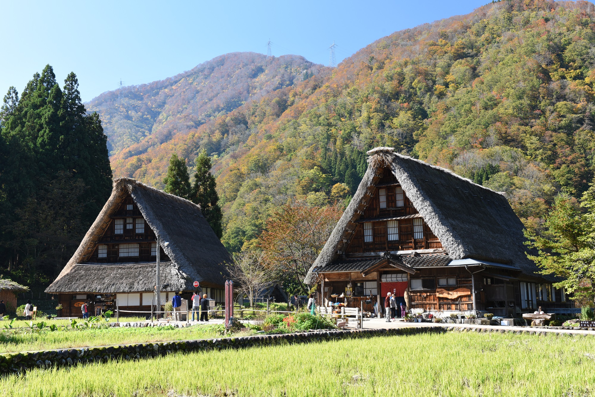 五箇山菅沼合掌集落